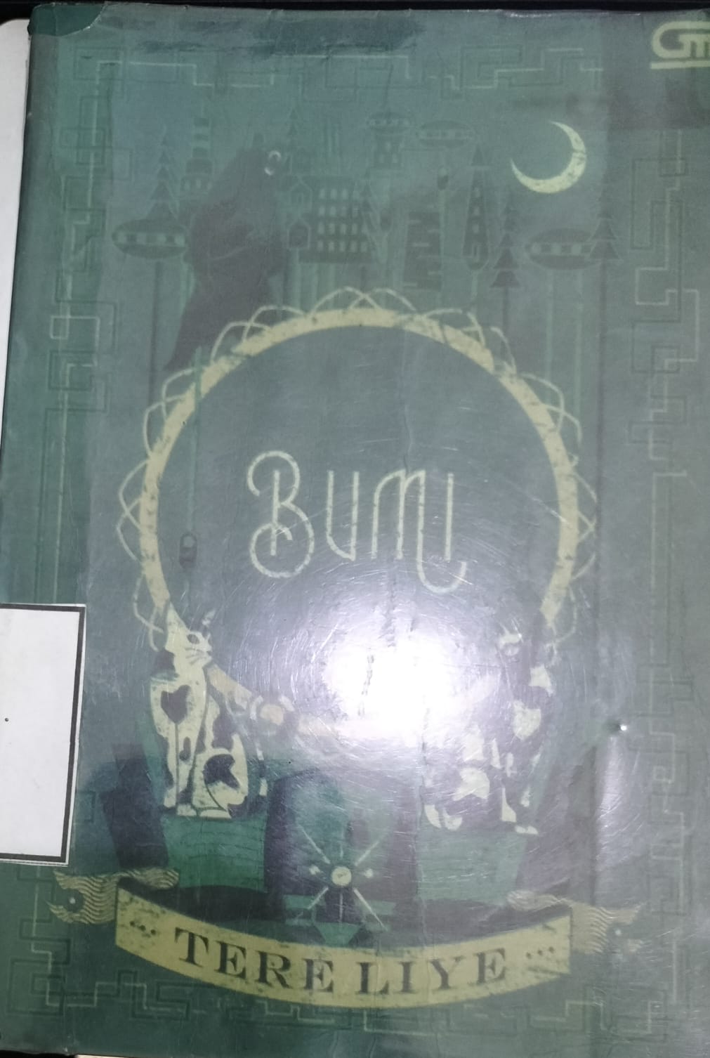 Bumi